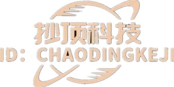 抄顶科技团队演示